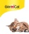 GimCat