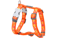 Red Dingo Шлея для собак Breezy Love 12мм шея 25-39см грудь 30-44см оранжевый арт.DH-BZ-OR-12