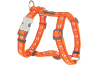 Red Dingo Шлея для собак Desert Paws 12мм шея 25-39см грудь 30-44см оранжевый арт.DH-DP-OR-12