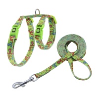 DOCO LOCO Шлейка + поводок для кошек с Принтом Neck1x19-27cm Chest1x28.5-46cm AT  арт.DCAT202-2072-AT