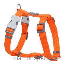 Red Dingo Шлея для собак 20mm, Neck 36-59cm, Body 45-66cm Classic Orange арт.DH-ZZ-OR-20