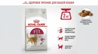 Royal Canin FIT32 Корм для кошек с умеренной активностью бывающих на улице 2 кг арт.T126