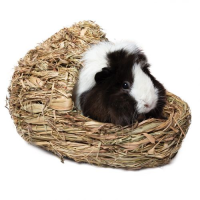 Triol Домик для мелких животных Лапоть арт 040166