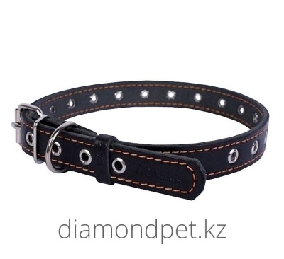 Collar Ошейник безразмерный 20мм х 50см  арт.CR01511