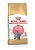 Royal Canin British Shorthair Kitten Для котят породы Британская короткошерстная 400 гр арт.S20123