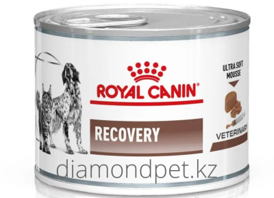 Royal Canin Recovery Для собак и кошек в период восстановления после болезни 195гр арт.307717